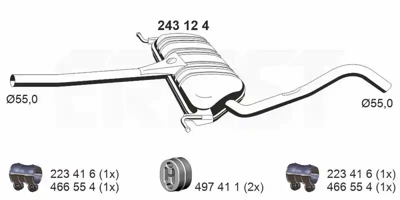 ERNST 243124