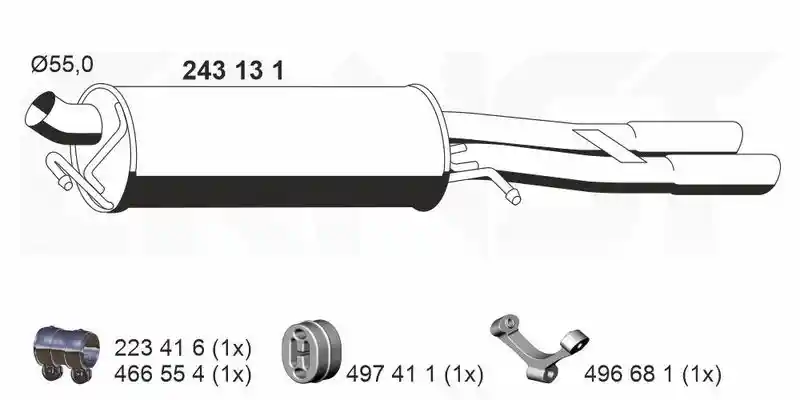 ERNST 243131