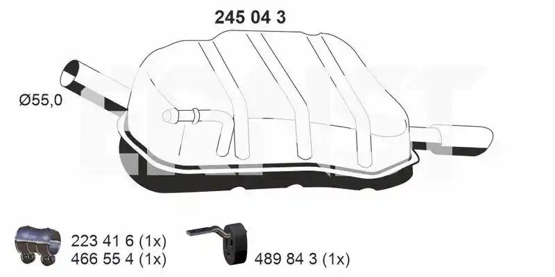 ERNST 245043