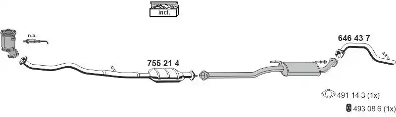 ERNST 250005