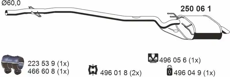 ERNST 250061