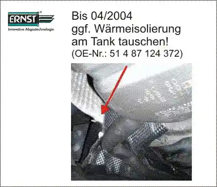 ERNST 250238