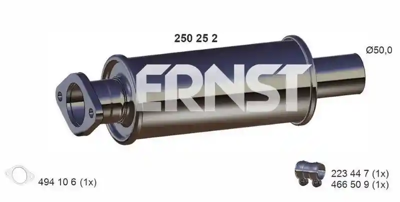 ERNST 250252