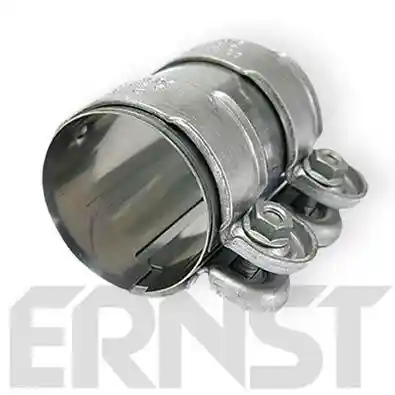 ERNST 273466