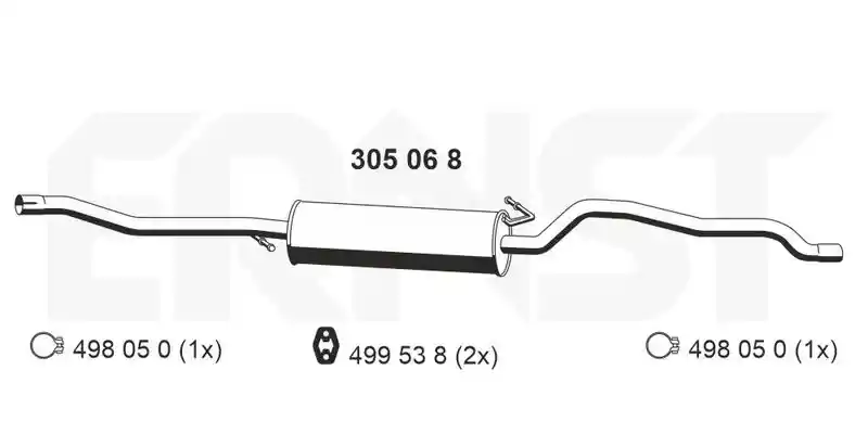 ERNST 305068