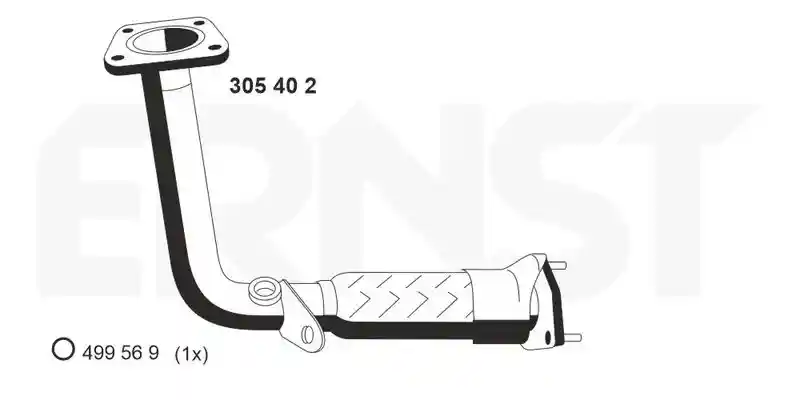 ERNST 305402