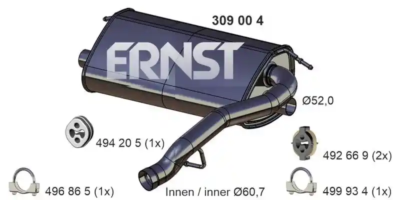 ERNST 309004