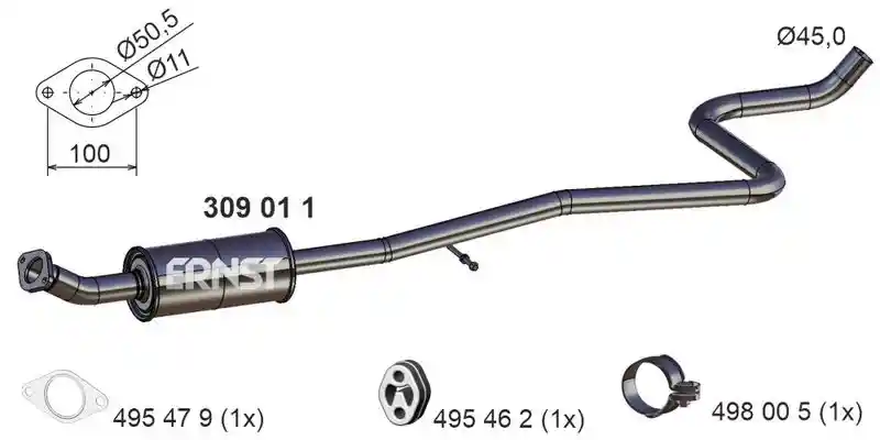 ERNST 309011