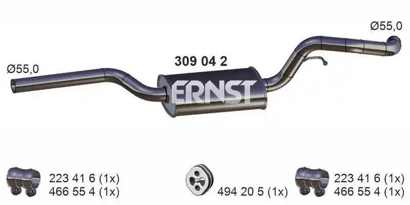 ERNST 309042
