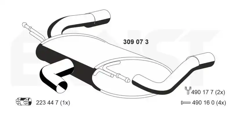 ERNST 309073