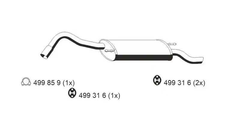 ERNST 310109