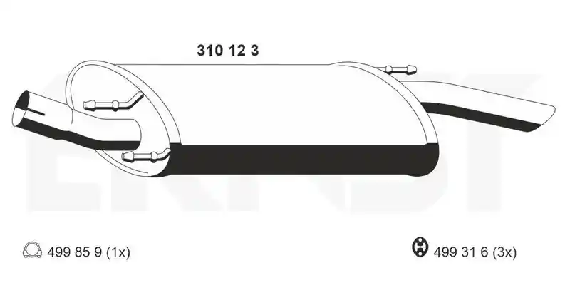 ERNST 310123