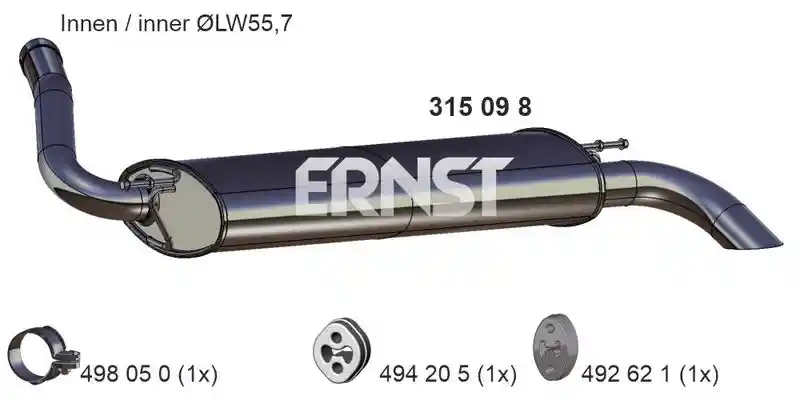 ERNST 315098