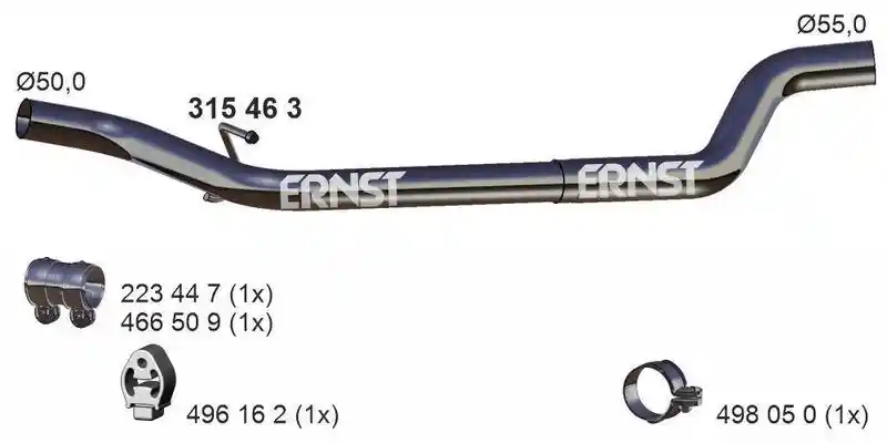 ERNST 315463