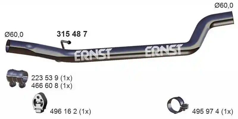 ERNST 315487
