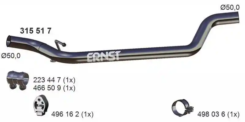 ERNST 315517