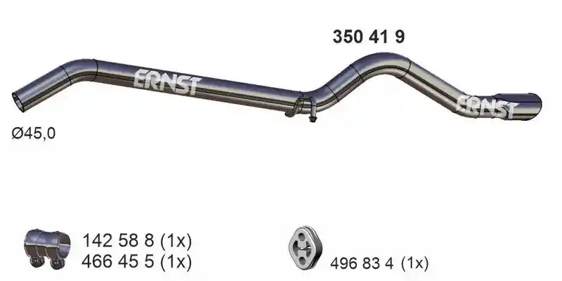 ERNST 350419