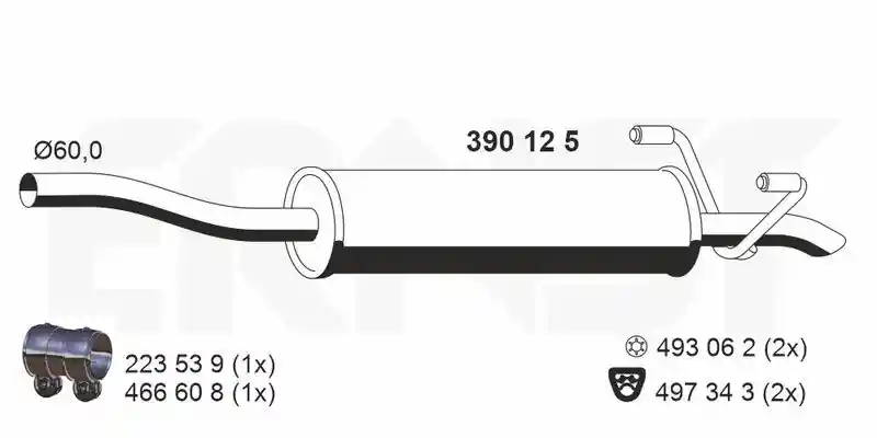 ERNST 390125