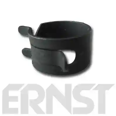 ERNST 412025