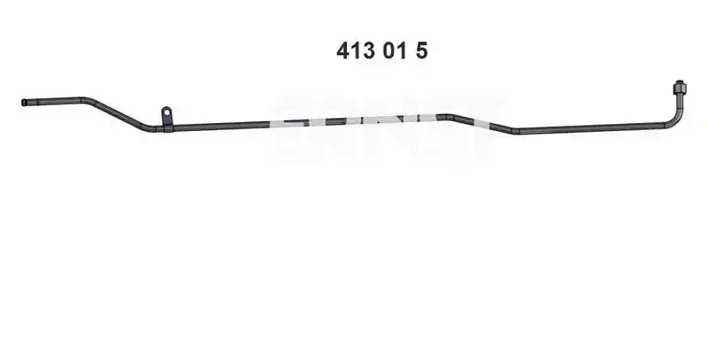 ERNST 413015