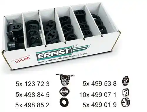 ERNST 460873