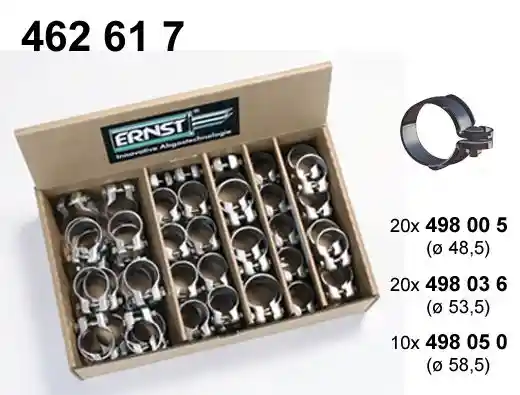 ERNST 462617