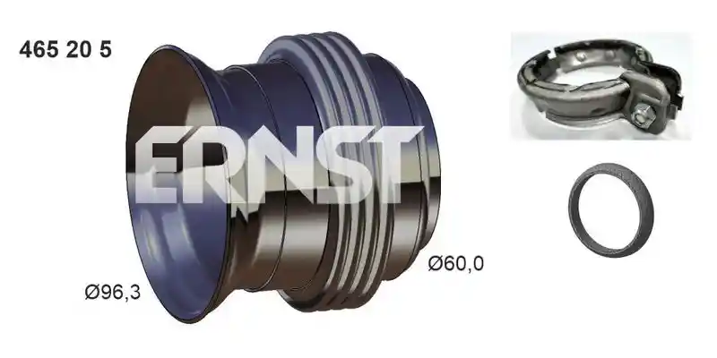 ERNST 465205