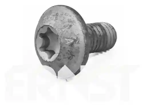 ERNST 489560