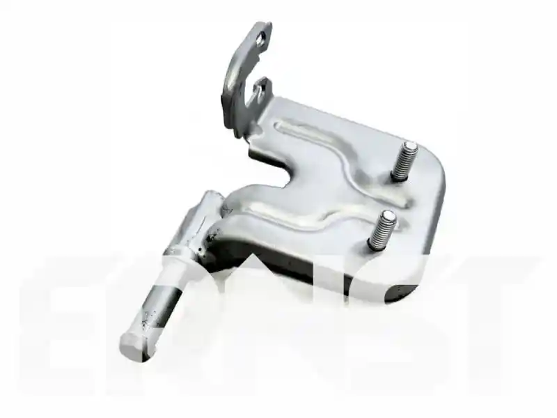 ERNST 489676