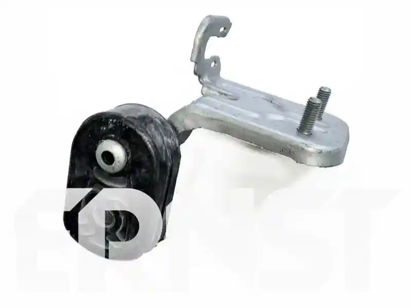 ERNST 489690