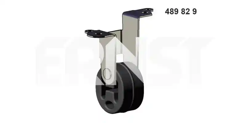 ERNST 489829