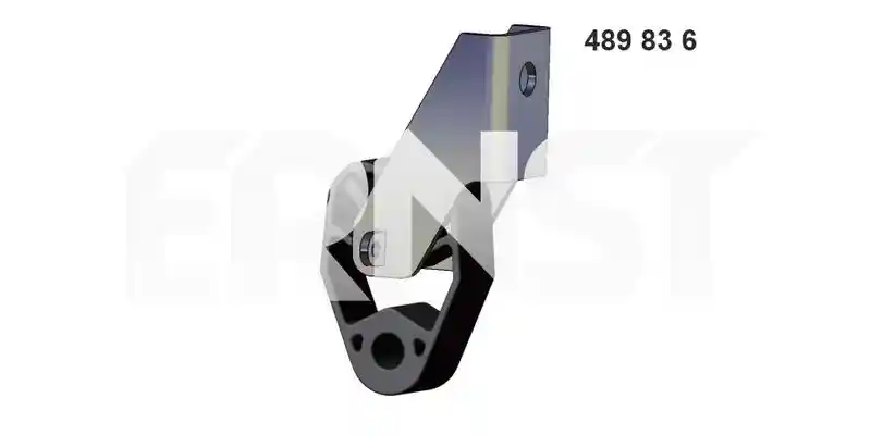 ERNST 489836