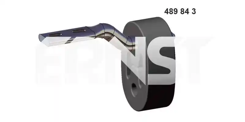 ERNST 489843