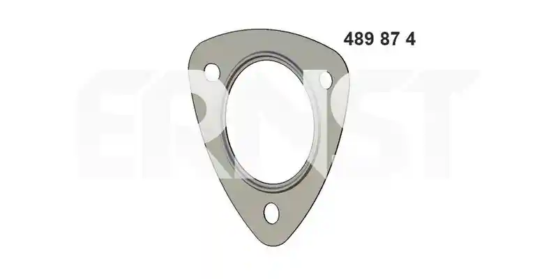 ERNST 489874