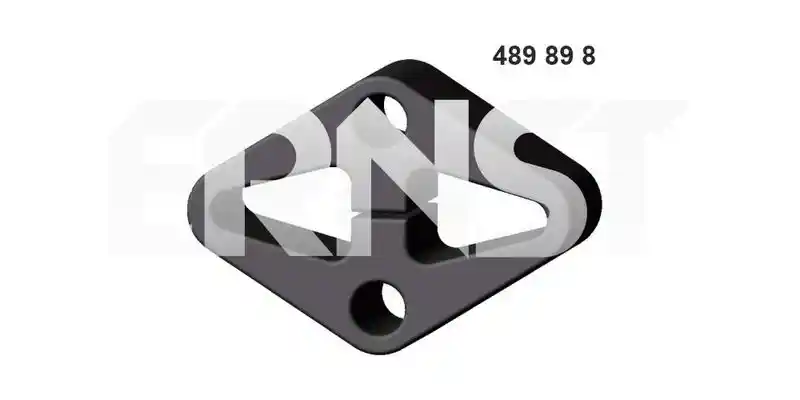 ERNST 489898
