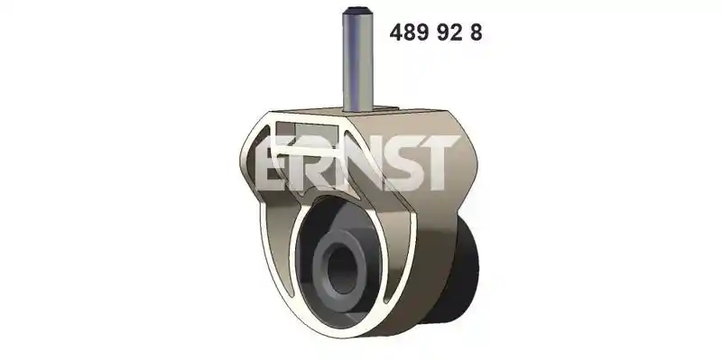 ERNST 489928