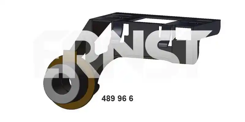 ERNST 489966