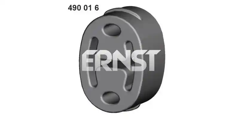 ERNST 490016