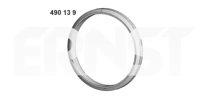 ERNST 490139