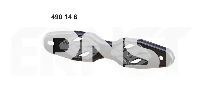 ERNST 490146