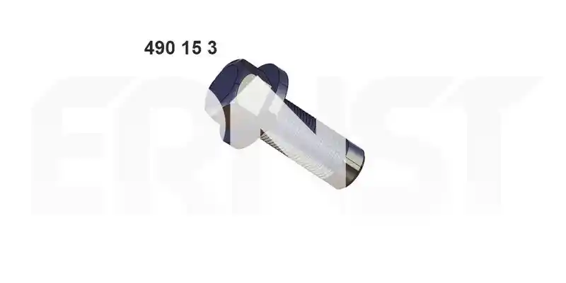 ERNST 490153
