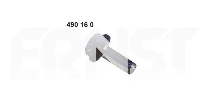 ERNST 490160