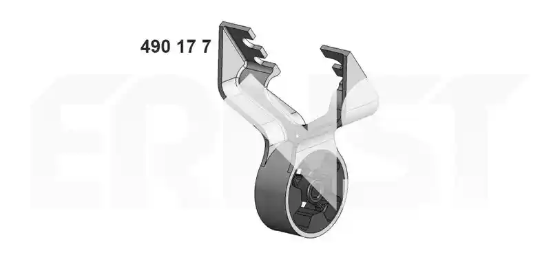 ERNST 490177