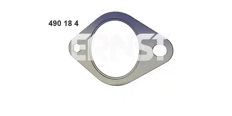 ERNST 490184