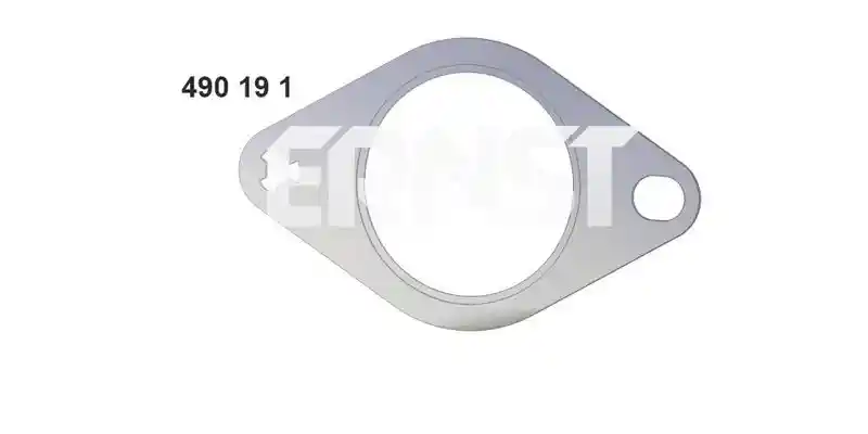 ERNST 490191