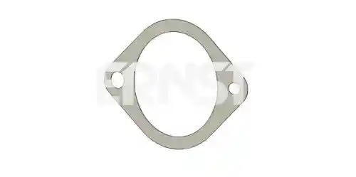ERNST 490597