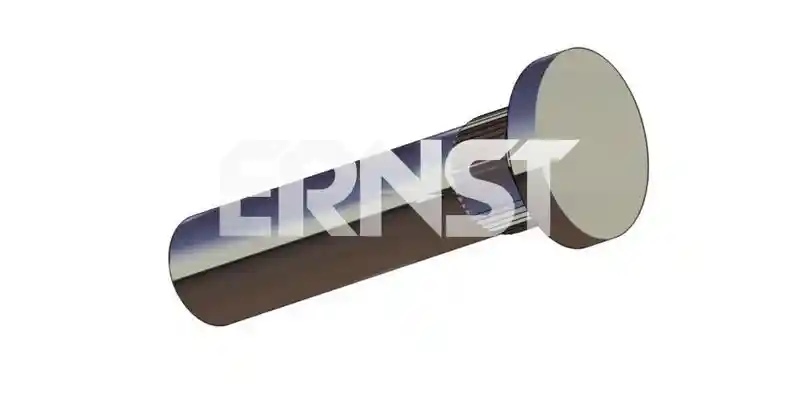 ERNST 490719