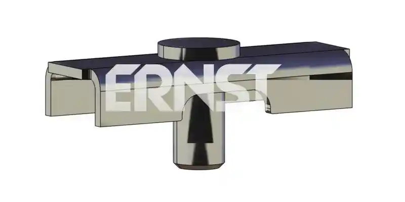 ERNST 490818