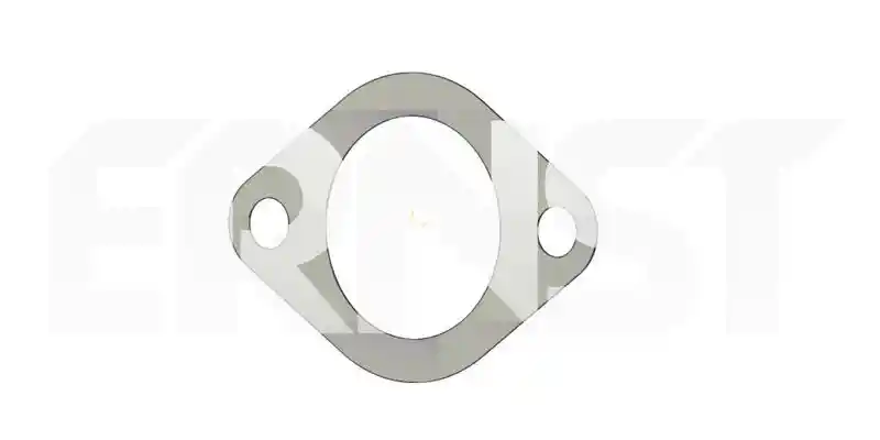 ERNST 491037