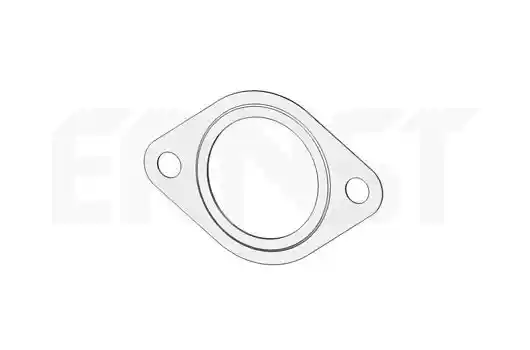 ERNST 495479 ERNST 495479